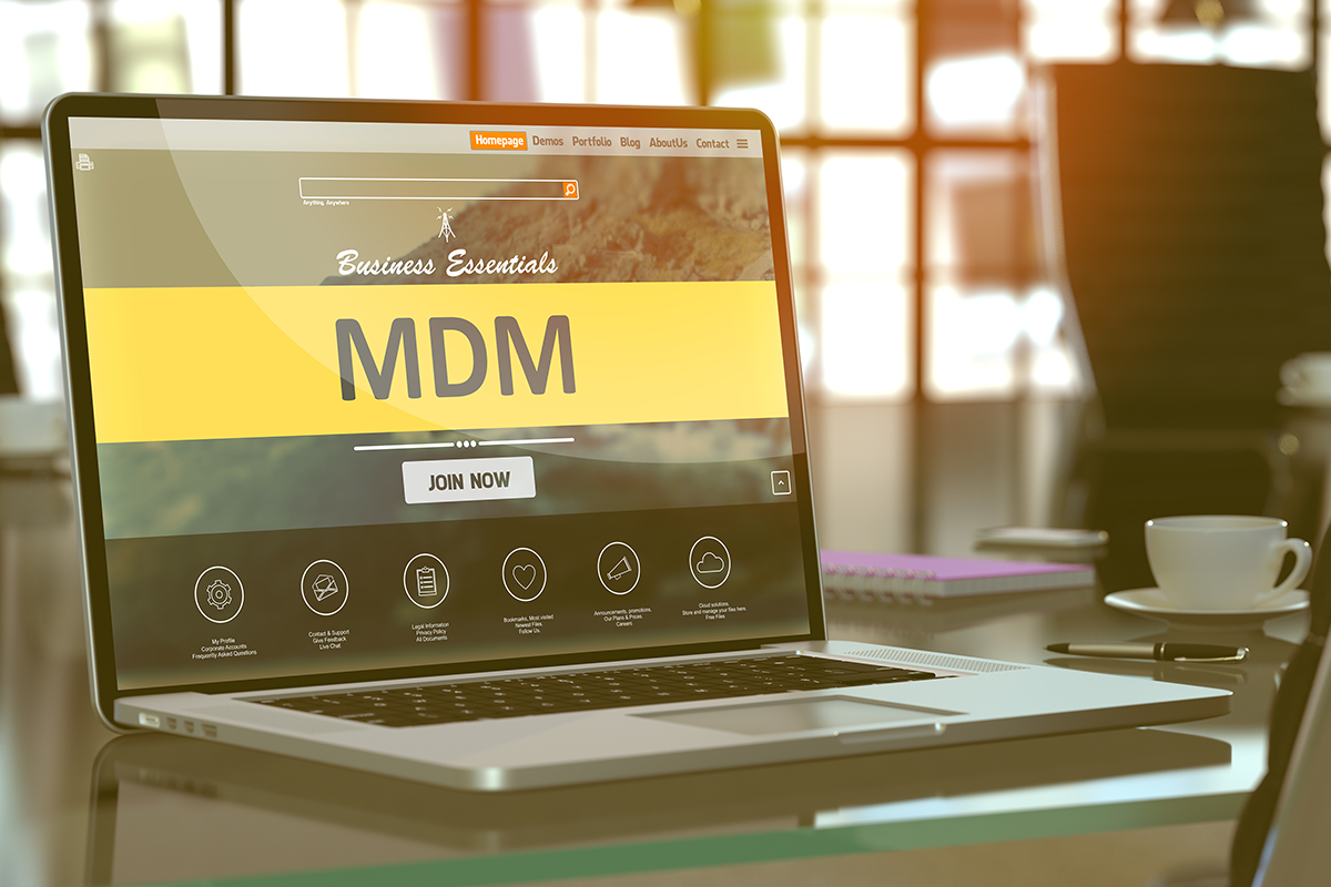 MDM MES - central data management application