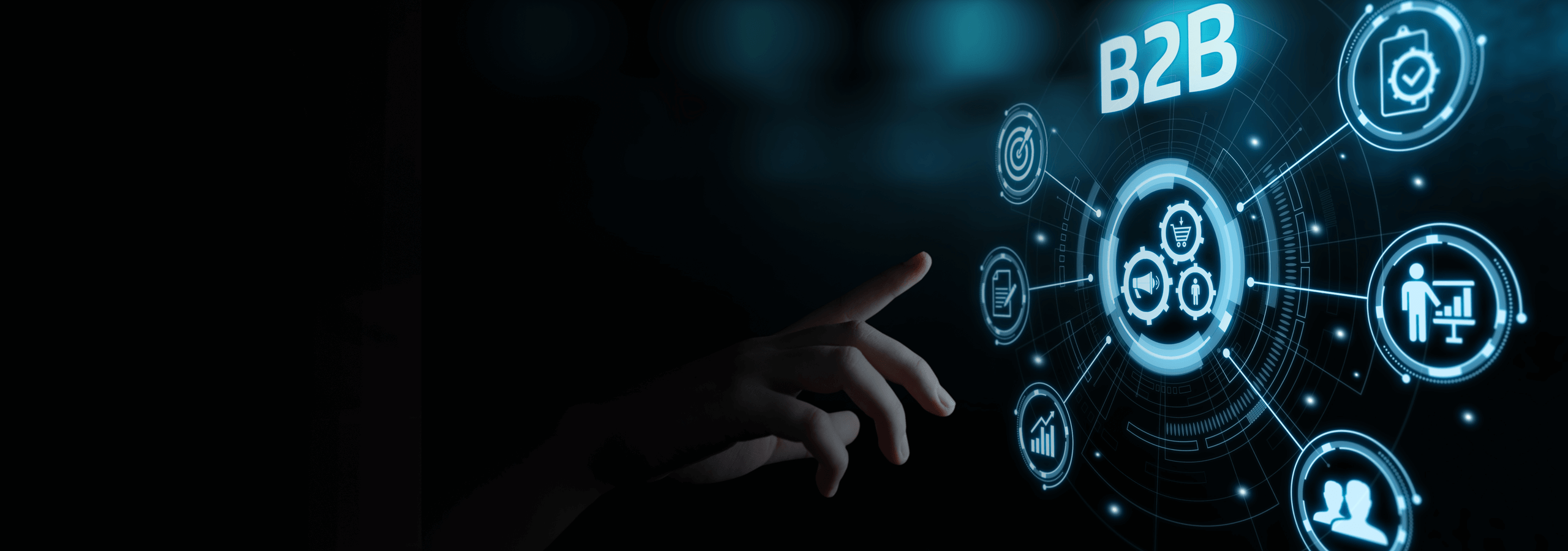Comarch B2B