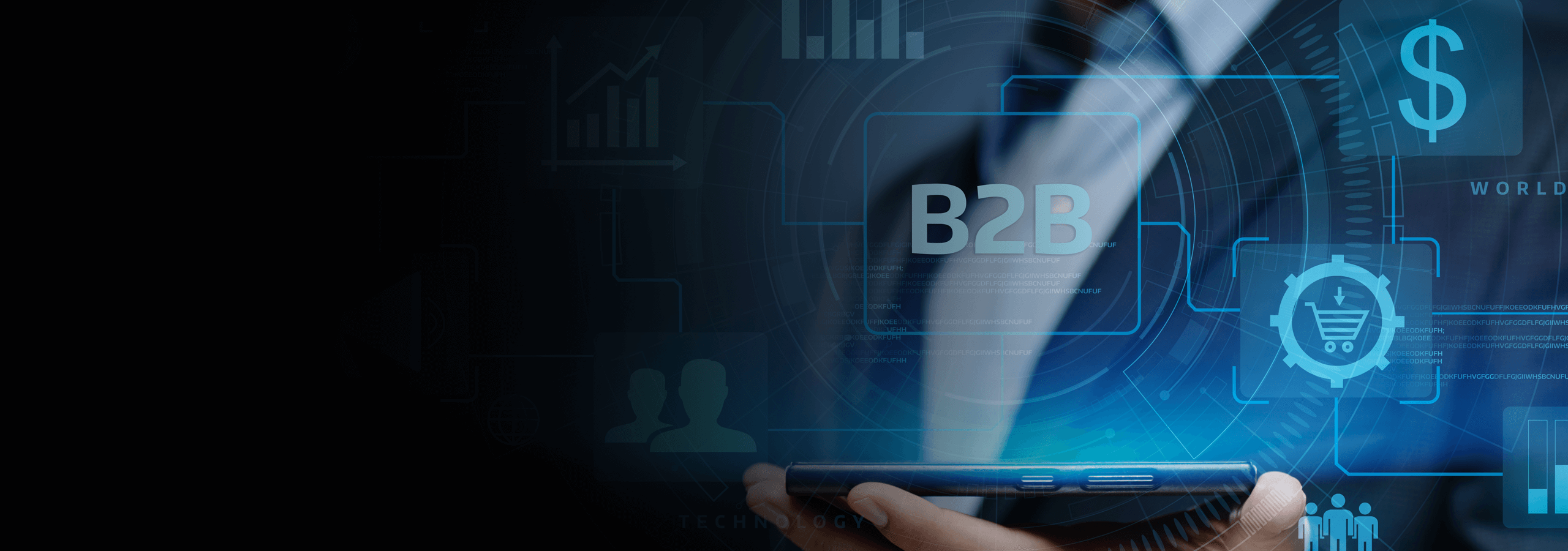 Portal B2B
